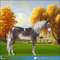 Horse Color:Liver Chestnut Mushroom Sabino Tobiano Rabicano 