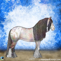 Horse Color:Nacre Brown Dun Sabino Appaloosa 