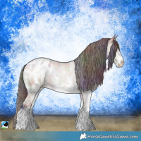 Horse Color:Nacre Brown Dun Sabino Blanket 