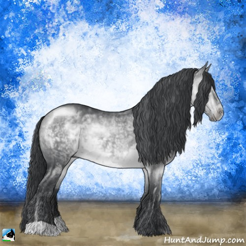 Horse Color:Brown Chinchilla 