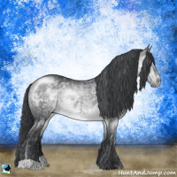 Horse Color:Brown Chinchilla