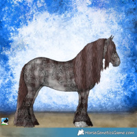 Horse Color:Plaid  Chocolate Brown Chinchilla Ice Rabicano 