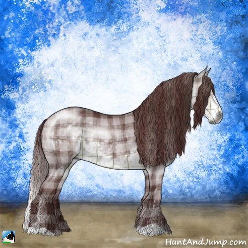 Horse Color:Plaid  Chocolate Buckskin Chinchilla 
