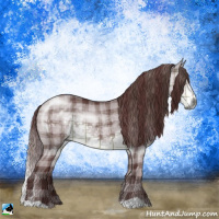 Horse Color:Plaid  Chocolate Buckskin Chinchilla 