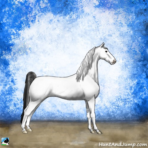 Horse Color:White Spotted Brown Onyx Appaloosa Rabicano 