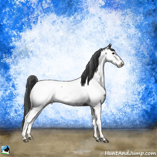 Horse Color:Blue Onyx Mushroom Sabino Appaloosa Rabicano 