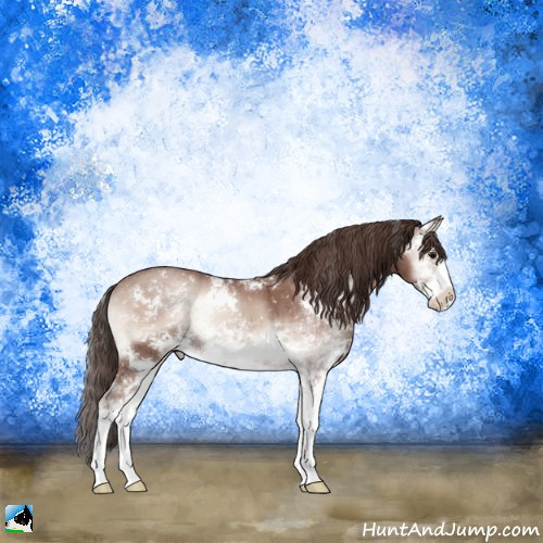 Horse Color:Classic Champagne Onyx Mushroom Sabino Appaloosa Rabicano 