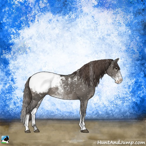 Horse Color:Grullo Mushroom Sabino Appaloosa Rabicano 
