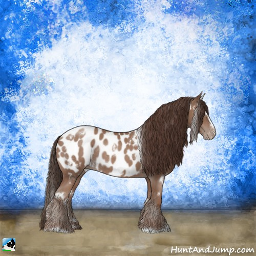Horse Color:White Spotted Classic Champagne Sabino Appaloosa Rabicano 
