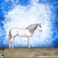 Horse Color:Nacre Brown Sabino Appaloosa Rabicano 