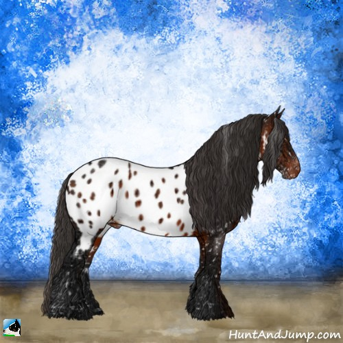 Horse Color:Brown Ice Sabino Appaloosa Rabicano 
