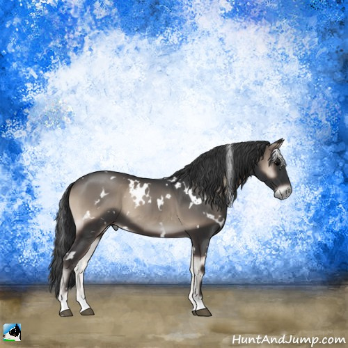 Horse Color:White Spotted Blue Onyx 