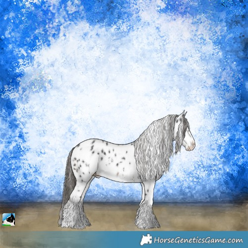 Horse Color:Liver Chestnut Ice Sabino Appaloosa 