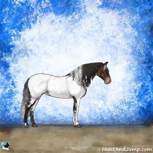 Horse Color:White Spotted Brown Ice Appaloosa Rabicano 