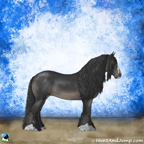 Horse Color:Black Sabino 