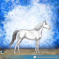 Horse Color:Brown Sabino Snowcap Rabicano 