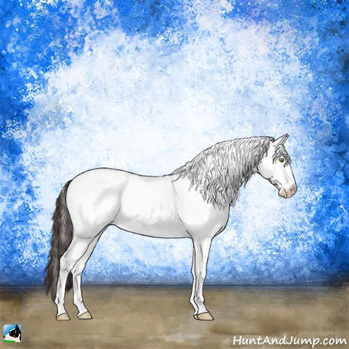 Horse Color:White Spotted Sable Champagne Ice Appaloosa Rabicano 