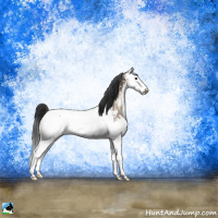 Horse Color:White Spotted Brown Onyx Sabino Near Fewspot Rabicano 