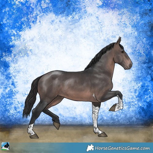 Horse Color:Platinum Brown Tobiano Rabicano 