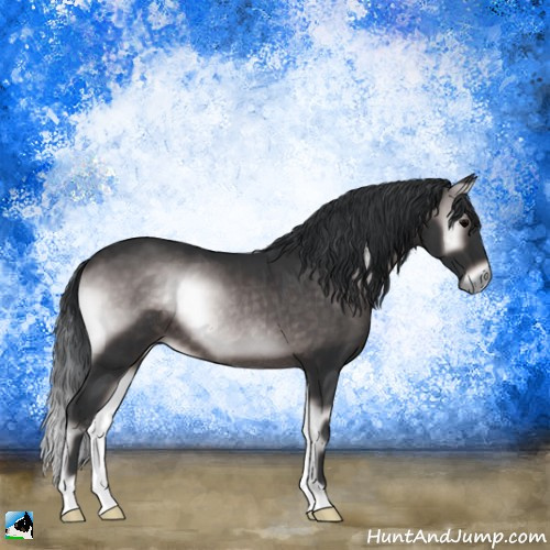 Horse Color:Platinum Brown Onyx Rabicano 