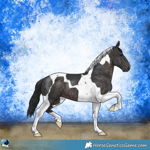 Horse Color:Platinum Brown Tobiano