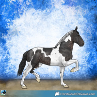 Horse Color:Platinum Brown Tobiano 
