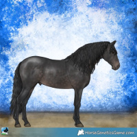 Horse Color:Platinum Brown Rabicano 