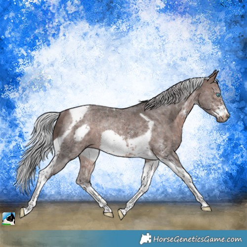 Horse Color:Platinum Silver Brown Sabino Tobiano Frame Rabicano 