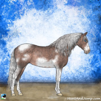 Horse Color:Platinum Silver Brown Sabino Tobiano Frame Rabicano 