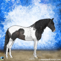 Horse Color:Platinum Brown Tobiano 