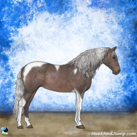 Horse Color:Platinum Silver Brown Tobiano 
