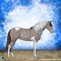 Horse Color:Platinum Classic Champagne Tobiano Rabicano