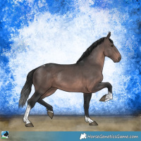 Horse Color:Platinum Brown Tobiano Rabicano 