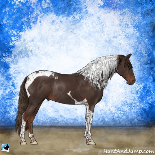 Horse Color:Liver Chestnut Tobiano Rabicano 