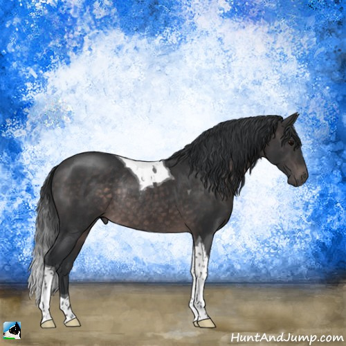 Horse Color:Platinum Brown Tobiano Rabicano 