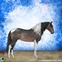 Horse Color:Platinum Brown Tobiano Rabicano
