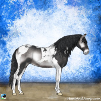 Horse Color:Platinum Brown Onyx Tobiano Rabicano 