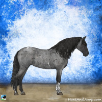 Horse Color:Platinum Liver Red Roan Tobiano Rabicano 