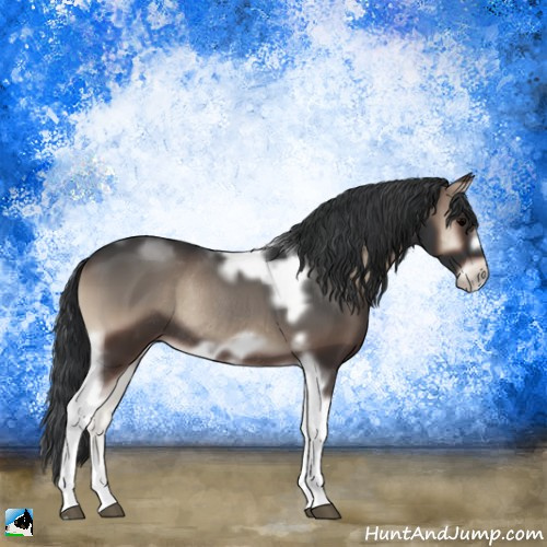 Horse Color:Blue Onyx Tobiano Frame Rabicano 