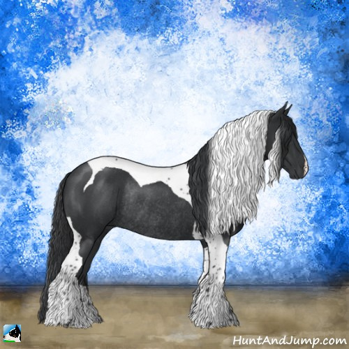 Horse Color:Platinum Black Tobiano Rabicano 