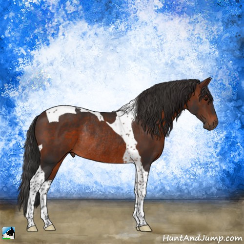 Horse Color:Brown Tobiano Rabicano 