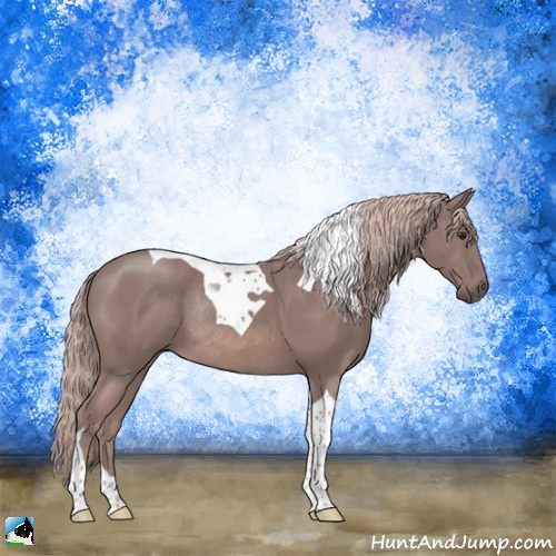 Horse Color:Platinum Chestnut Tobiano Rabicano 