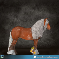 Horse Color:Silver Bay 