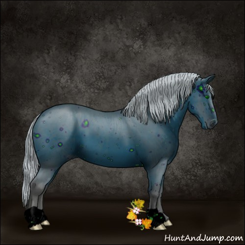 Horse Color:ERROR: UNKNOWN ANOMALY