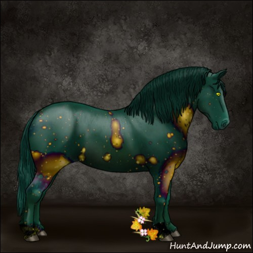 Horse Color:ERROR: UNKNOWN ANOMALY