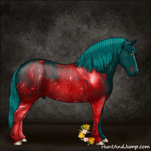 Horse Color:ERROR: UNKNOWN ANOMALY