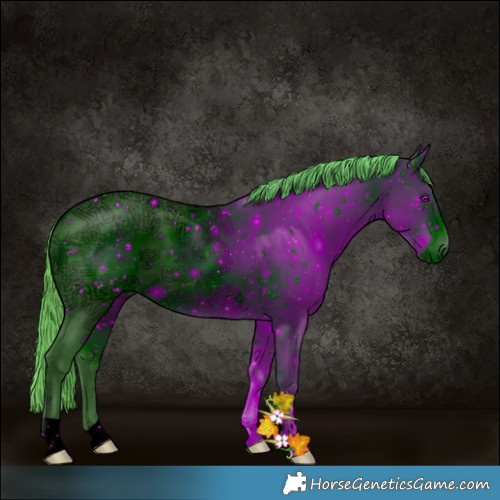 Horse Color:ERROR: UNKNOWN ANOMALY