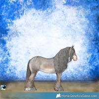 Horse Color:Liver Chestnut Varnish Rabicano 