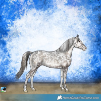 Horse Color:Blue Onyx Snowcap 