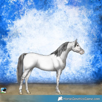Horse Color:Blue Onyx Roan Snowcap Rabicano